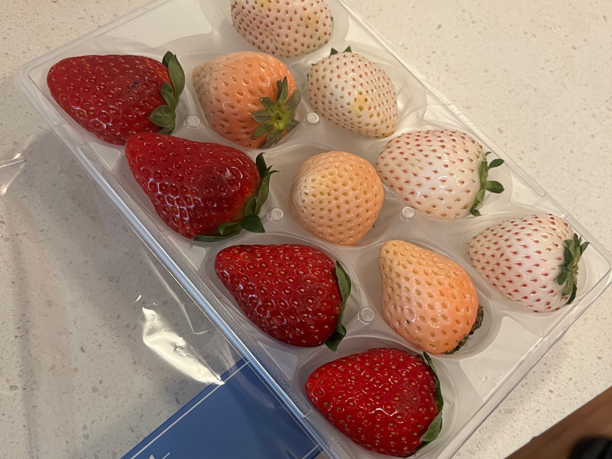 日本匠人文化与草莓的秘密